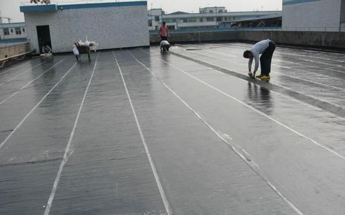 如何鑒定防水卷材和防水涂料的質(zhì)量？簡單幾招保障防水效果
